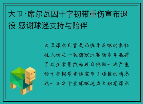 大卫·席尔瓦因十字韧带重伤宣布退役 感谢球迷支持与陪伴