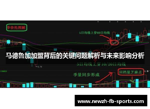 马德鲁加加盟背后的关键问题解析与未来影响分析 马德鲁加加盟背后的关键问题解析与未来影响分析