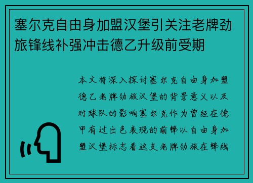 塞尔克自由身加盟汉堡引关注老牌劲旅锋线补强冲击德乙升级前受期